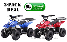 TWO of 2022/2023 Tao Tao 110cc "Boulder-B1" Youth ATV Fully Automatic with Remote Engine Kill, Tether Switch, Speed Limiter, Big Luggage Rack!