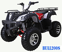 Tao Tao BULL 200S King Size Utility ATV Automatic with Reverse, 23"/22" Monster Tires, 10" Wheels (Upgraded from RIHNO250), Digital LCD Display. Free shipping to your door, free motocross helmet, 6 months warranty.
