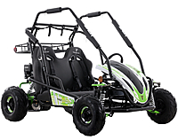 TAO TAO Baja Springer 200cc Go Kart, Automatic with Reverse, Pull Start, Adjustable double bench seat with safety harnesses, Adjustable shocks, Disc brake,  Speed limiter, free shipping to your door with a free DOT approved helmet.