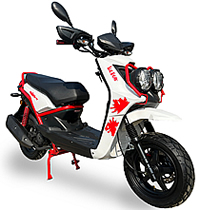 CARB Approved ICE BEAR "Malibu" 150cc Gas Scooter Fully Automatic with 12" DOT Tires, ABS disc brake, Dual shocks, PMZ150-10, free shipping, free scooter cover, security alarm or battery charger, 1 year bumper to bumper warranty, life time tech support