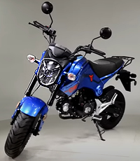Tao Tao "Hellcat" 125cc Street Bike Motorcycle Air Cooled Manual 4 Speed, Dual Disc Brakes, Inverted Forks, 12" Tires, EPA/DOT/CARB Approved. Free shipping to your door. Free helmet. 1 year warranty.