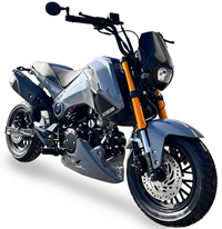 2024 CARB Approved ICE BEAR 125cc Street Bike Motorcycle Air Cooled Manual 4 Speed, Dual Disc Brakes, Inverted Forks, 12" Tires (PMZ125-1). Free shipping to your door. Free helmet. 1 year warranty.