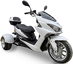Ice Bear "Trifecta" 50cc KING SIZE Motor Trike Scooter PST50-2 w/ Windshield & 13" Big Tire. Free shipping to your door. Free DOT approved scooter helmet, free 1 year bumper to bumper warranty.