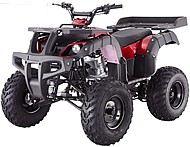 TAO TAO 200cc Full Size Utility ATV Air Cooled Manual 4 Speed+Reverse RHINO-250