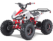 G125 "Cheetah" 110cc Youth Sport ATVs Automatic with Reverse, Rear Rack, Remote Engine Shut off, 19"/18" Big Tires, 8" Rims. Free shipping to door, free ATV covers. 6 months warranty, 3 years extended warranty, life time technical support