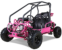 TAO MOTOR GK110 110cc Double Seater Youth Go kart is good for two small riders. Fully Automatic with Reverse, Remote, Governor, Sun Shade, 7" Big Tires, free shipping, free residential and lift-gate service, 6 months warranty, life time technical support.