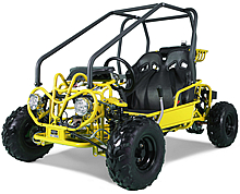 TAO MOTOR GK110 110cc Double Seater Youth Go kart is good for two small riders. Fully Automatic with Reverse, Remote, Governor, Sun Shade, 7" Big Tires, free shipping, free residential and lift-gate service, 6 months warranty, life time technical support.