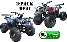 TWO TaoTao TFORCE med size 110cc ATV Automatic with Reverse, Remote engine kill, 18"/19" Big Tires, Beautiful black trims/edges, Digital gear indicator. Free shipping to your door, free ATV covers. 6 months warranty, life time technical support