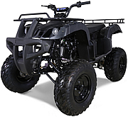 Tao Tao 150cc FULL SIZE Utility ATV Automatic with Reverse & LED Headlight ATV-150D, free shipping, free helmet