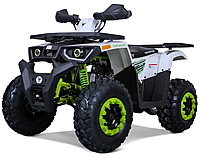 "Raptor" 200cc ATV Automatic with Reverse, Upgraded Suspension, Dual Disc Brakes, Large Digital Display, Large Front Bumper and Rear Cargo Rack, 23" Front tire, 22" Extra wide rear tire, LED headlights. Free shipping to door, free gift. 6 months warranty